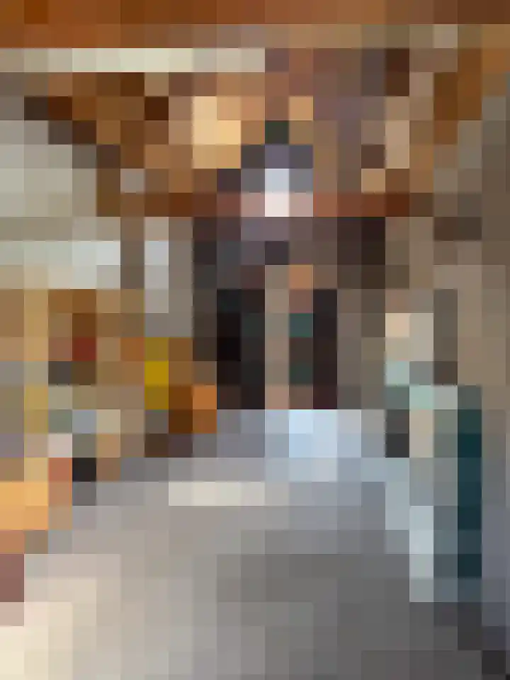 Donkerstraat 19 Amerongen thumbnail 21