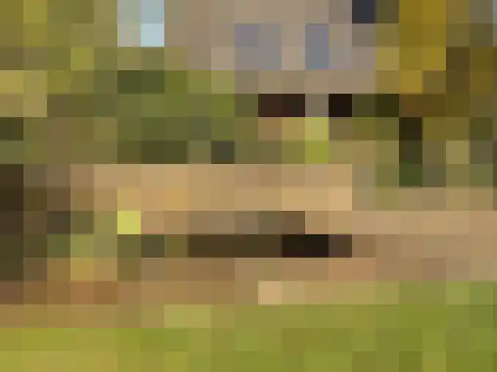 Donkerstraat 19 Amerongen thumbnail 25