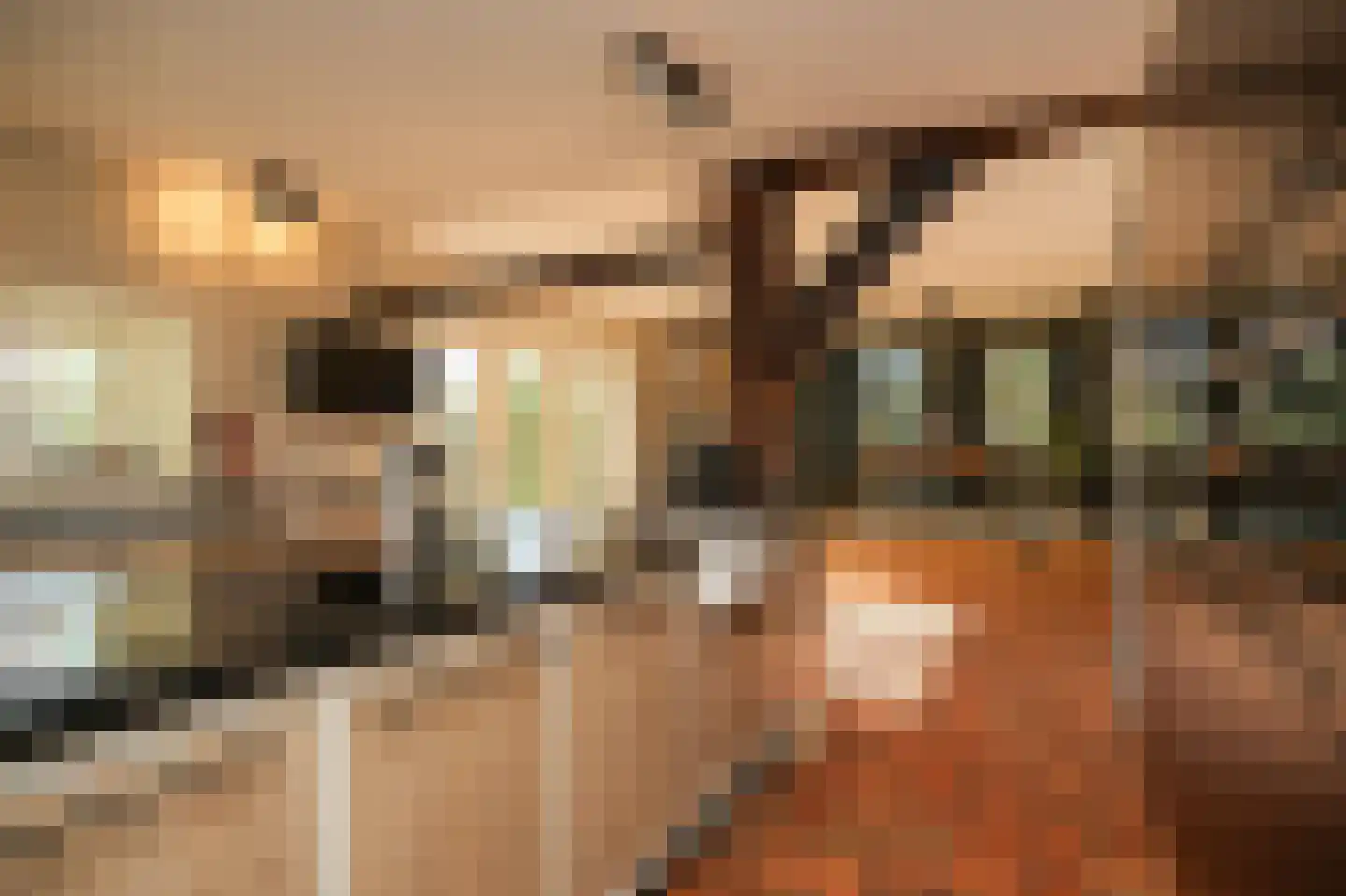Donkerstraat 2 Aalst thumbnail 17