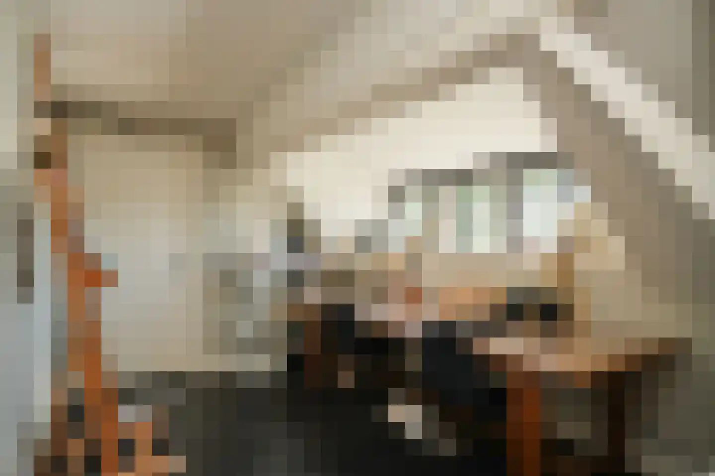 Donkerstraat 2 Aalst thumbnail 37