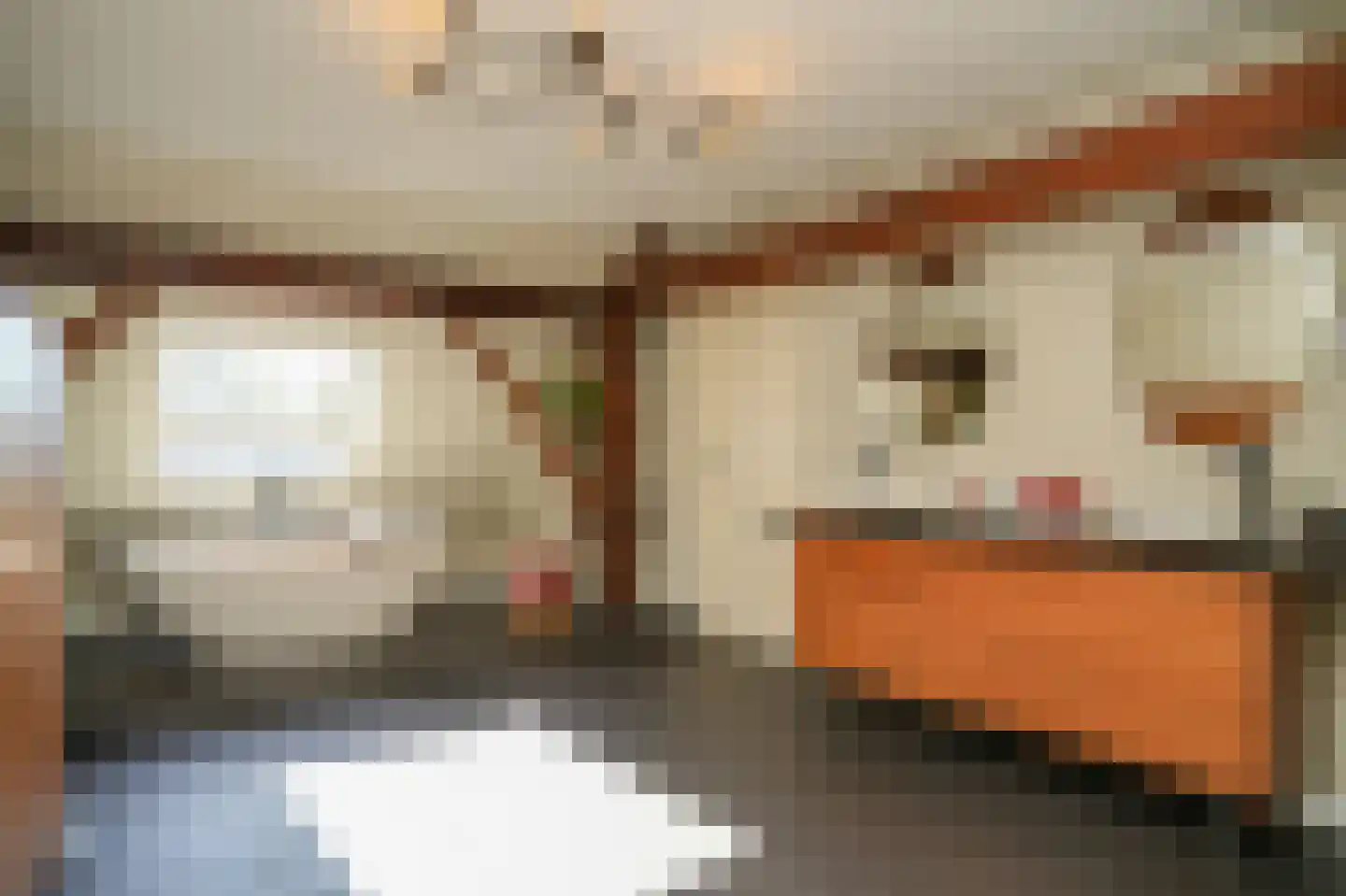 Donkerstraat 2 Aalst thumbnail 38