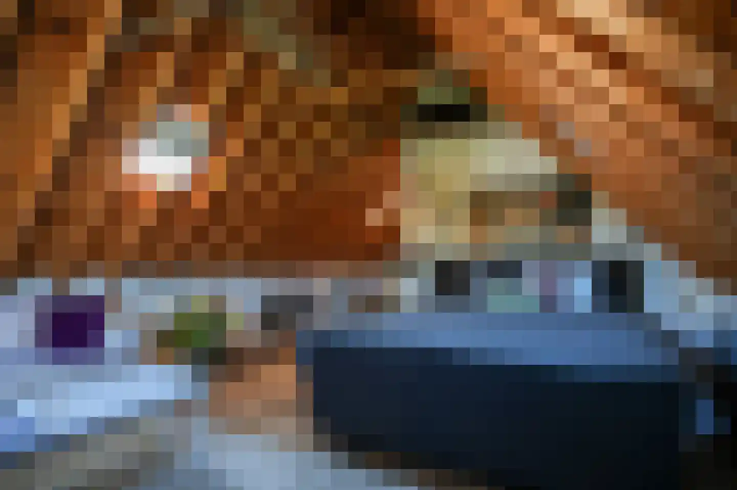 Donkerstraat 2 Aalst thumbnail 61