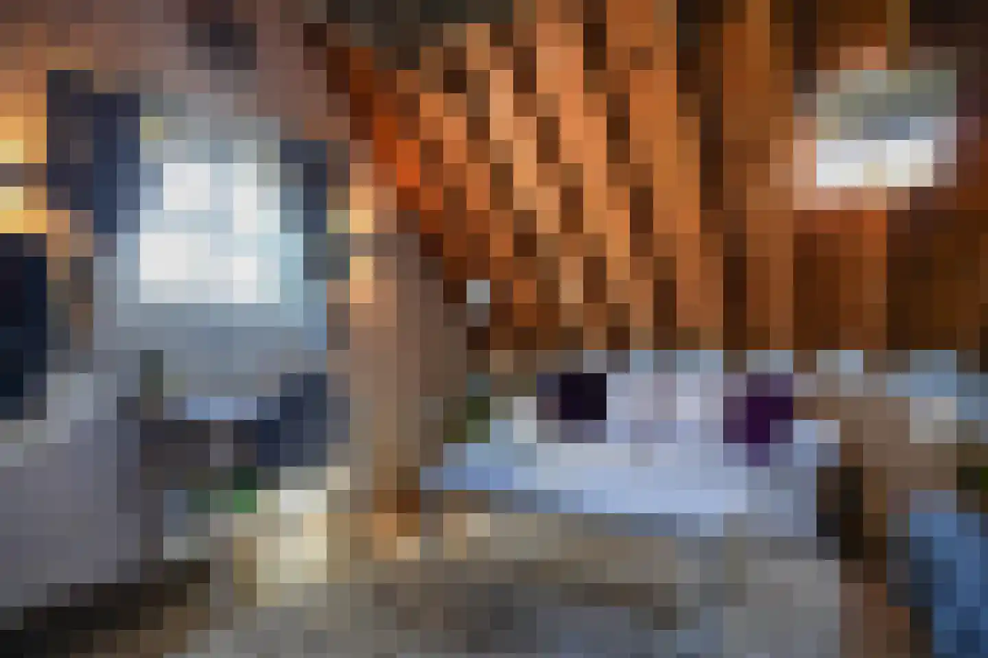 Donkerstraat 2 Aalst thumbnail 63