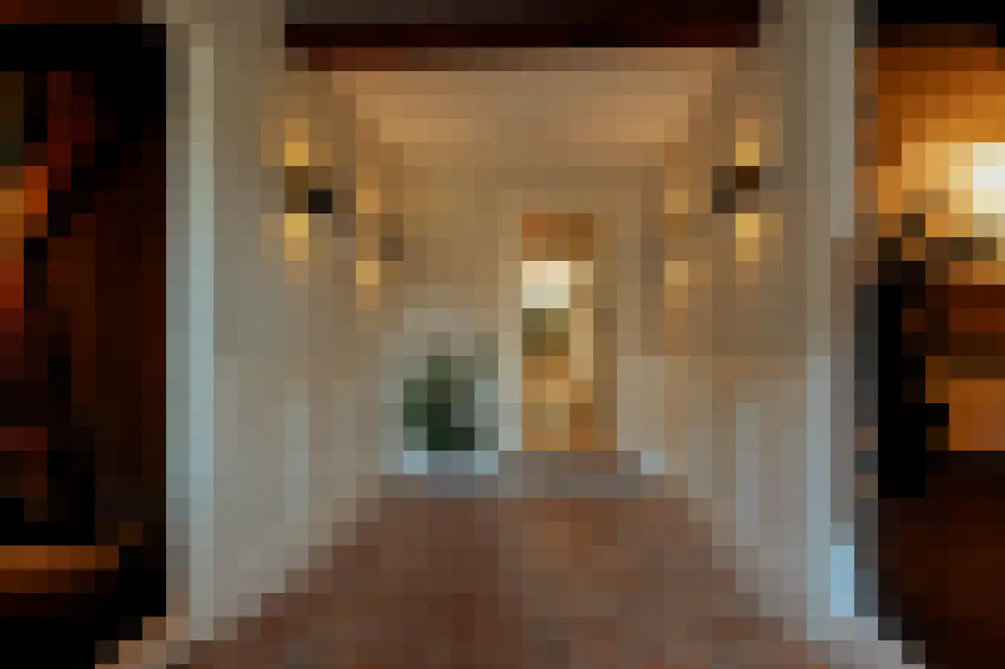 Donkerstraat 2 Aalst thumbnail 8
