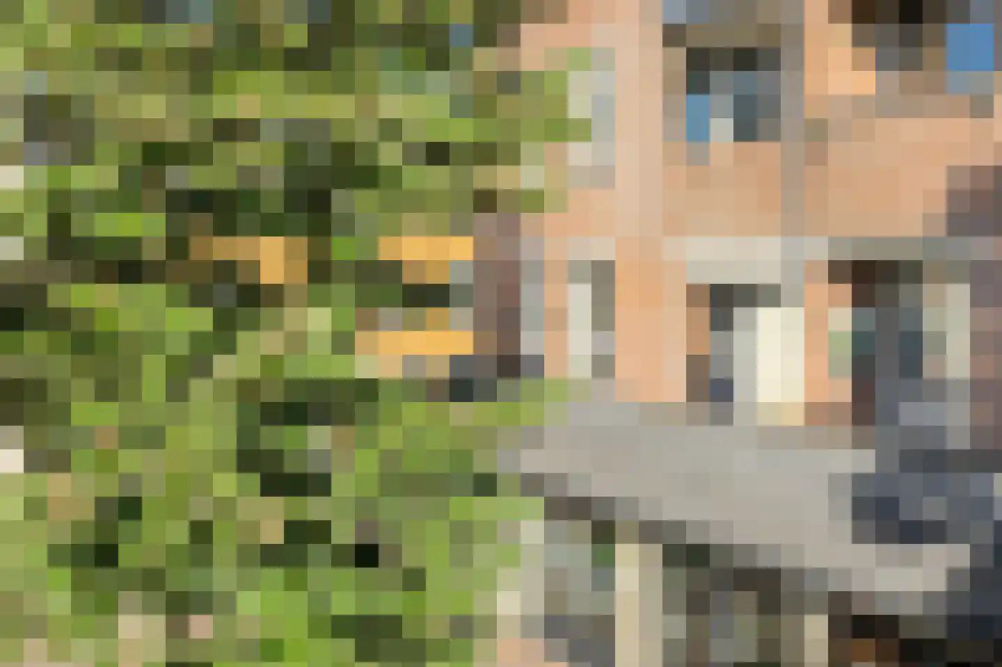 Donkerstraat 2 Oosterhout thumbnail 34