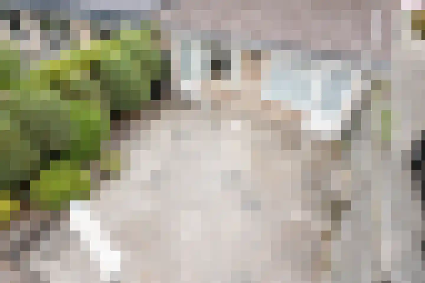 Donkerstraat 21 Teteringen thumbnail 17
