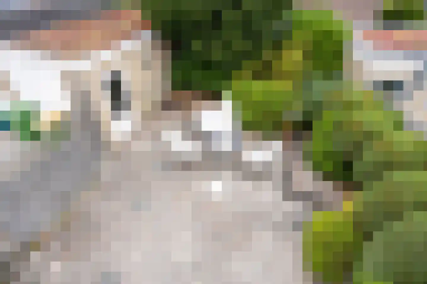 Donkerstraat 21 Teteringen thumbnail 18