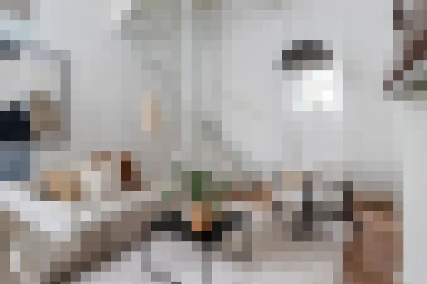 Donkerstraat 22 Utrecht thumbnail 10