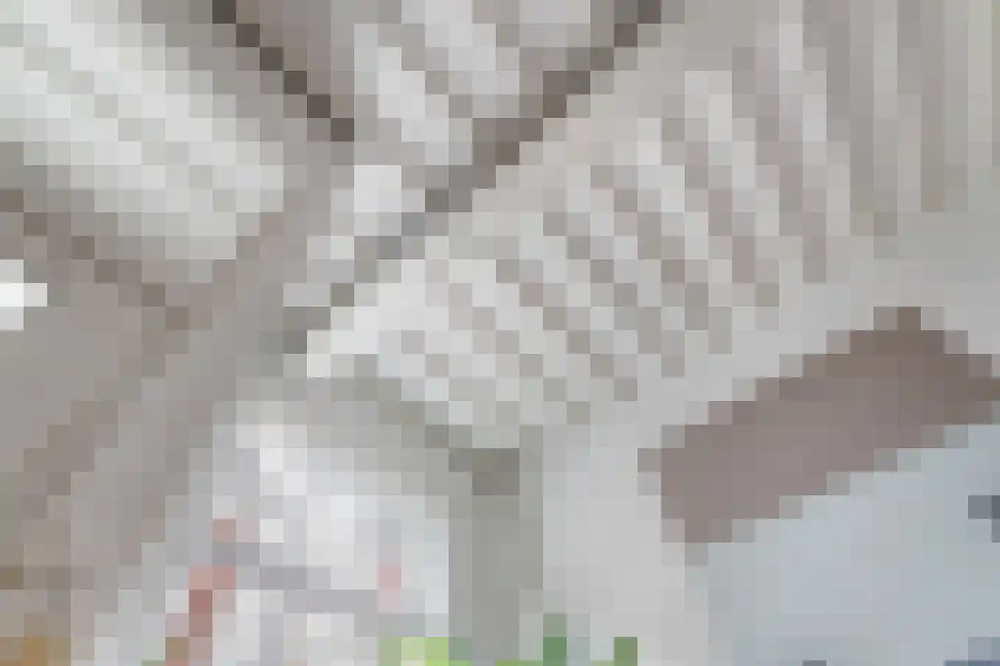 Donkerstraat 22 Utrecht thumbnail 12