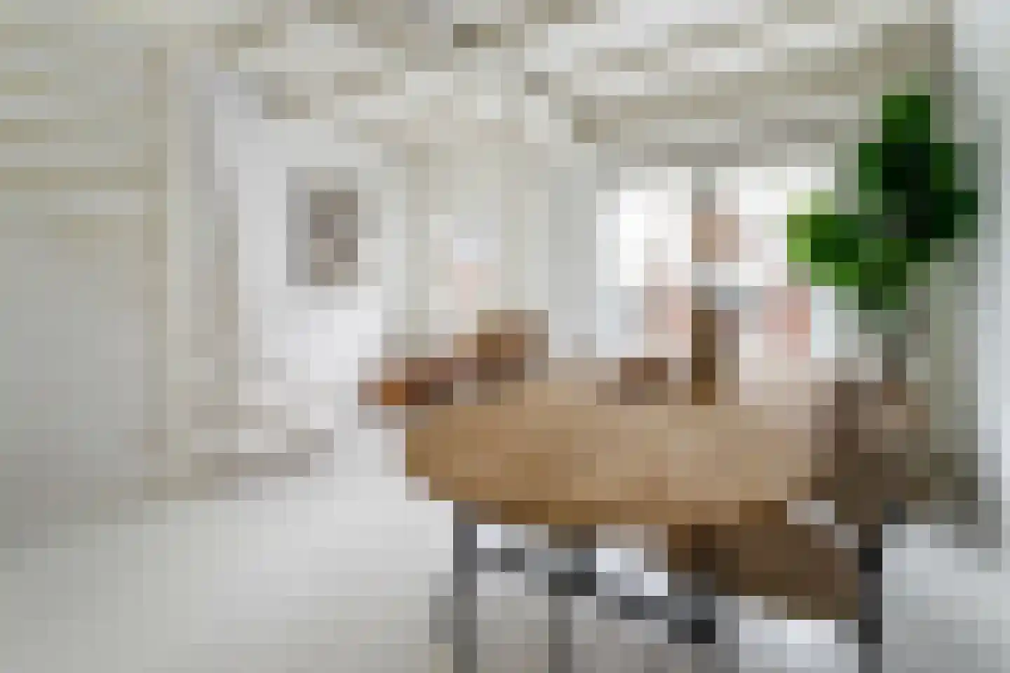 Donkerstraat 22 Utrecht thumbnail 15