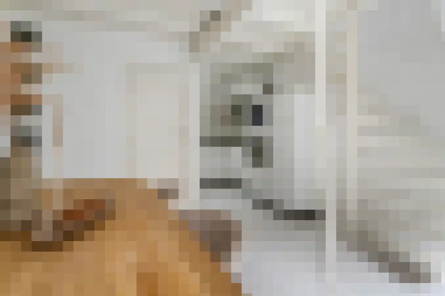 Donkerstraat 22 Utrecht thumbnail 16