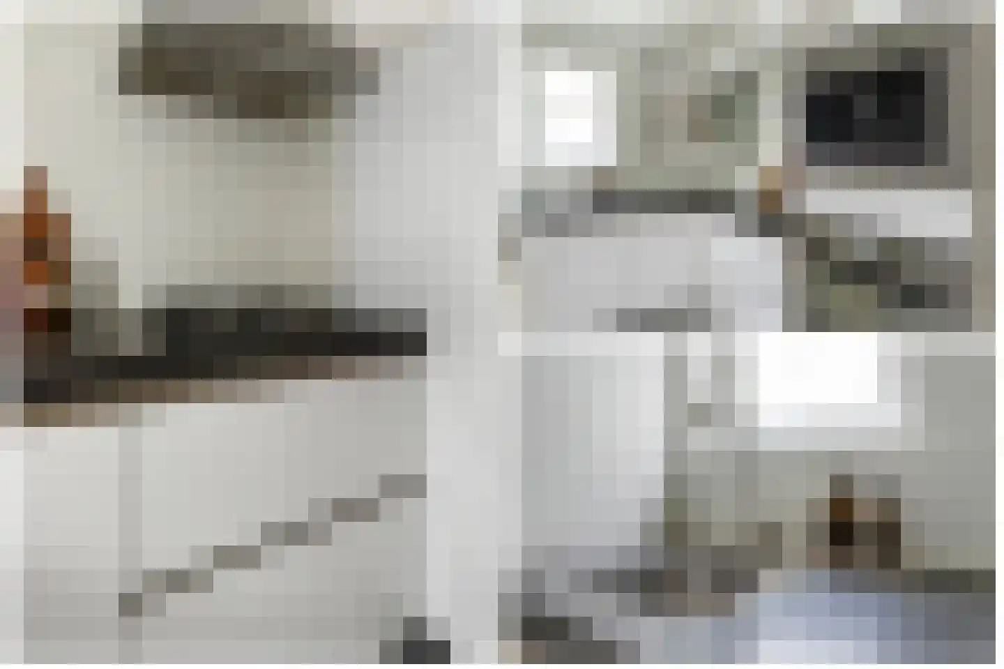 Donkerstraat 22 Utrecht thumbnail 23