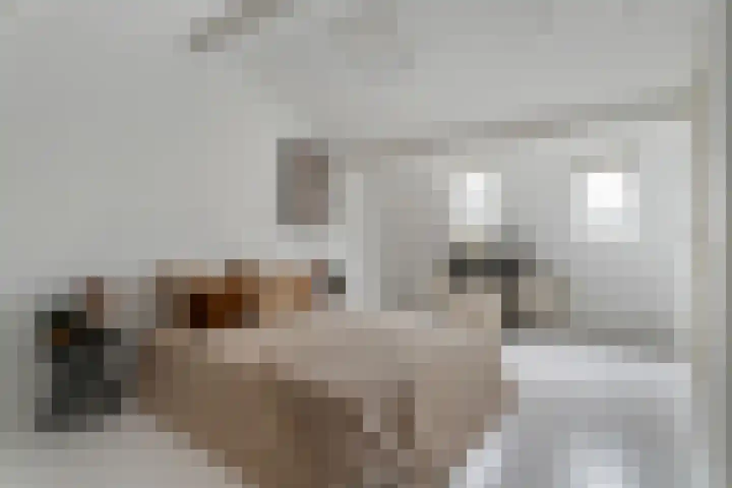 Donkerstraat 22 Utrecht thumbnail 24