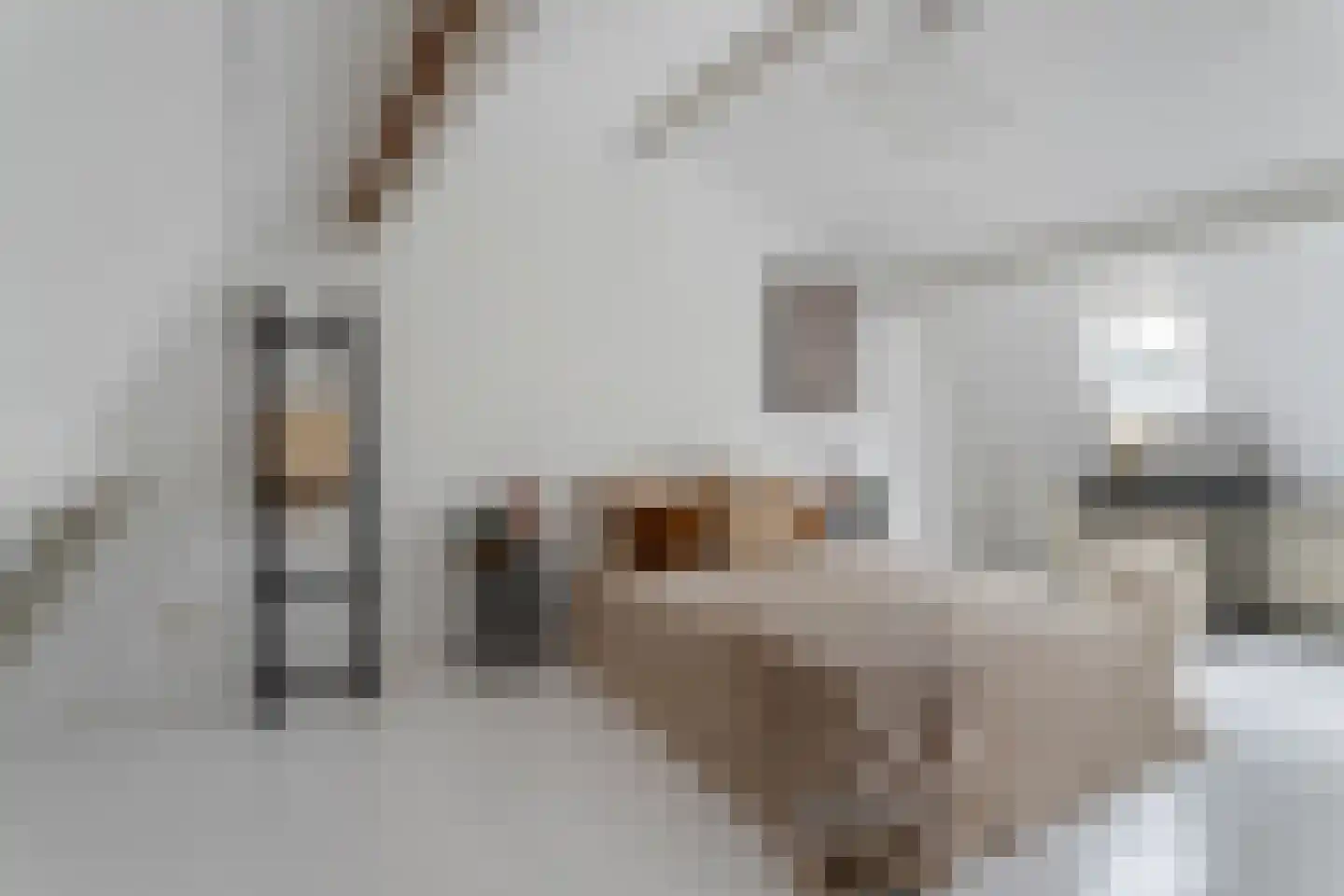 Donkerstraat 22 Utrecht thumbnail 25