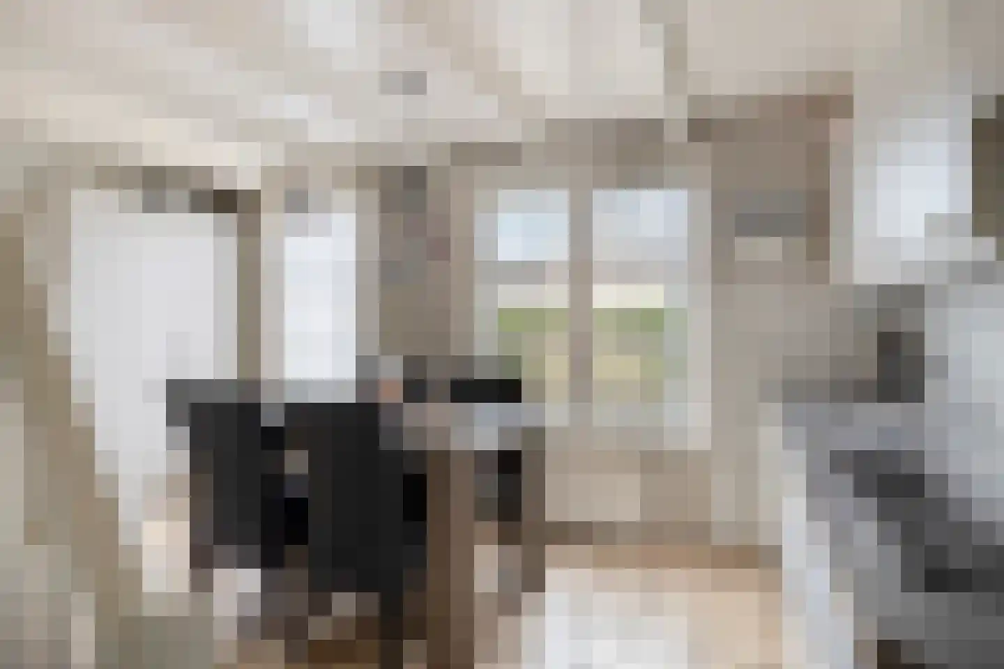 Donkerstraat 25 Heesselt thumbnail 11
