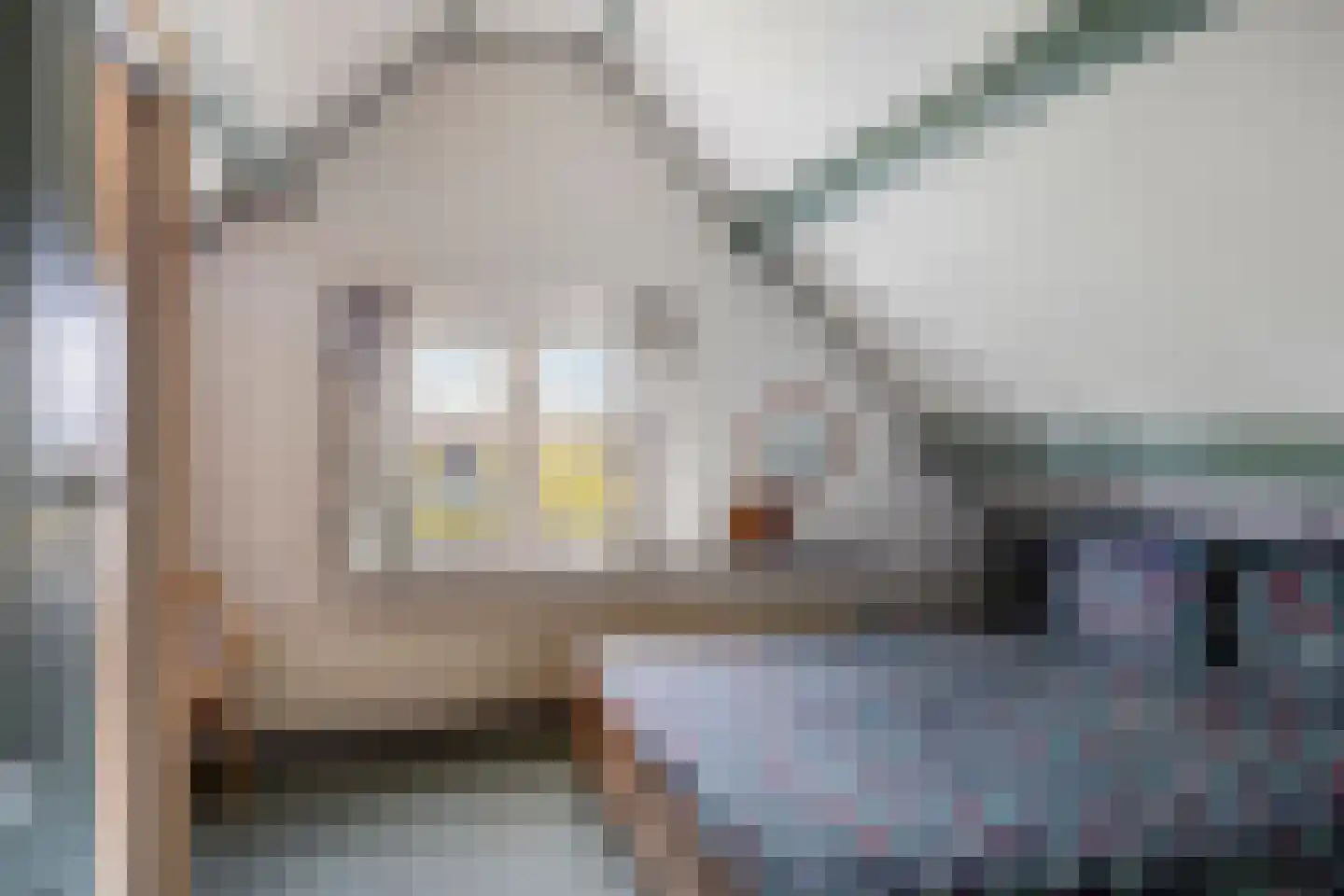 Donkerstraat 25 Heesselt thumbnail 18