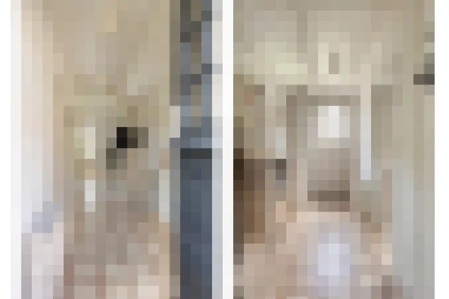 Donkerstraat 25 Heesselt thumbnail 6