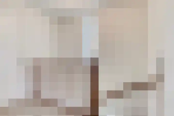 Donkerstraat 32 Wijchen thumbnail 32