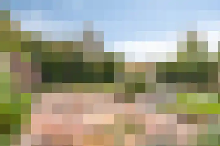 Donkerstraat 32 Wijchen thumbnail 35