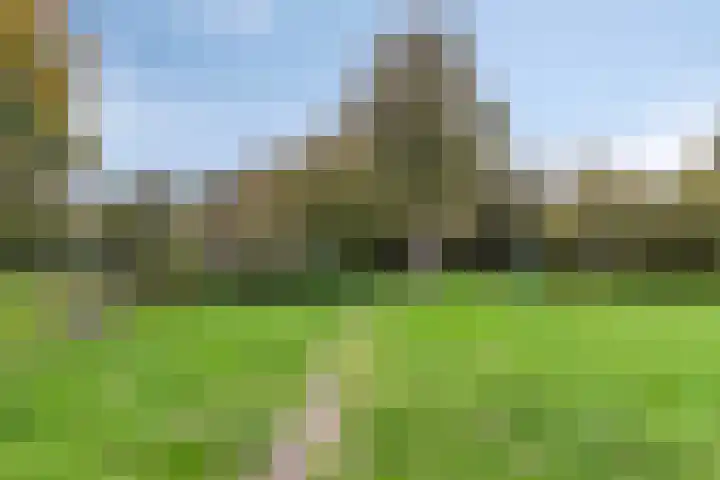 Donkerstraat 32 Wijchen thumbnail 41