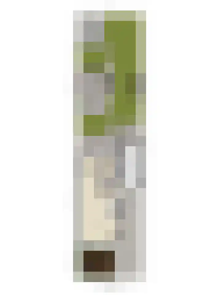 Donkerstraat 32 Wijchen thumbnail 43