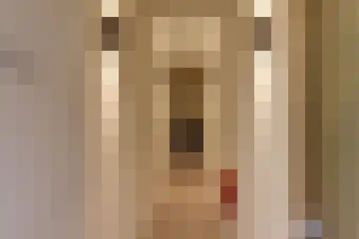 Donkerstraat 33 A Harderwijk thumbnail 5