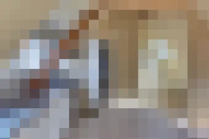 Donkerstraat 33 D Harderwijk thumbnail 8