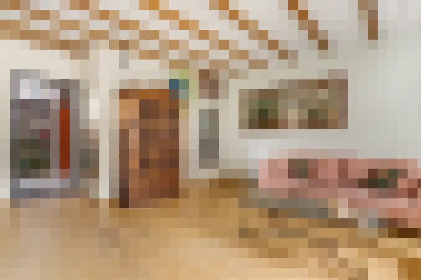 Donkerstraat 35 Heesselt thumbnail 12