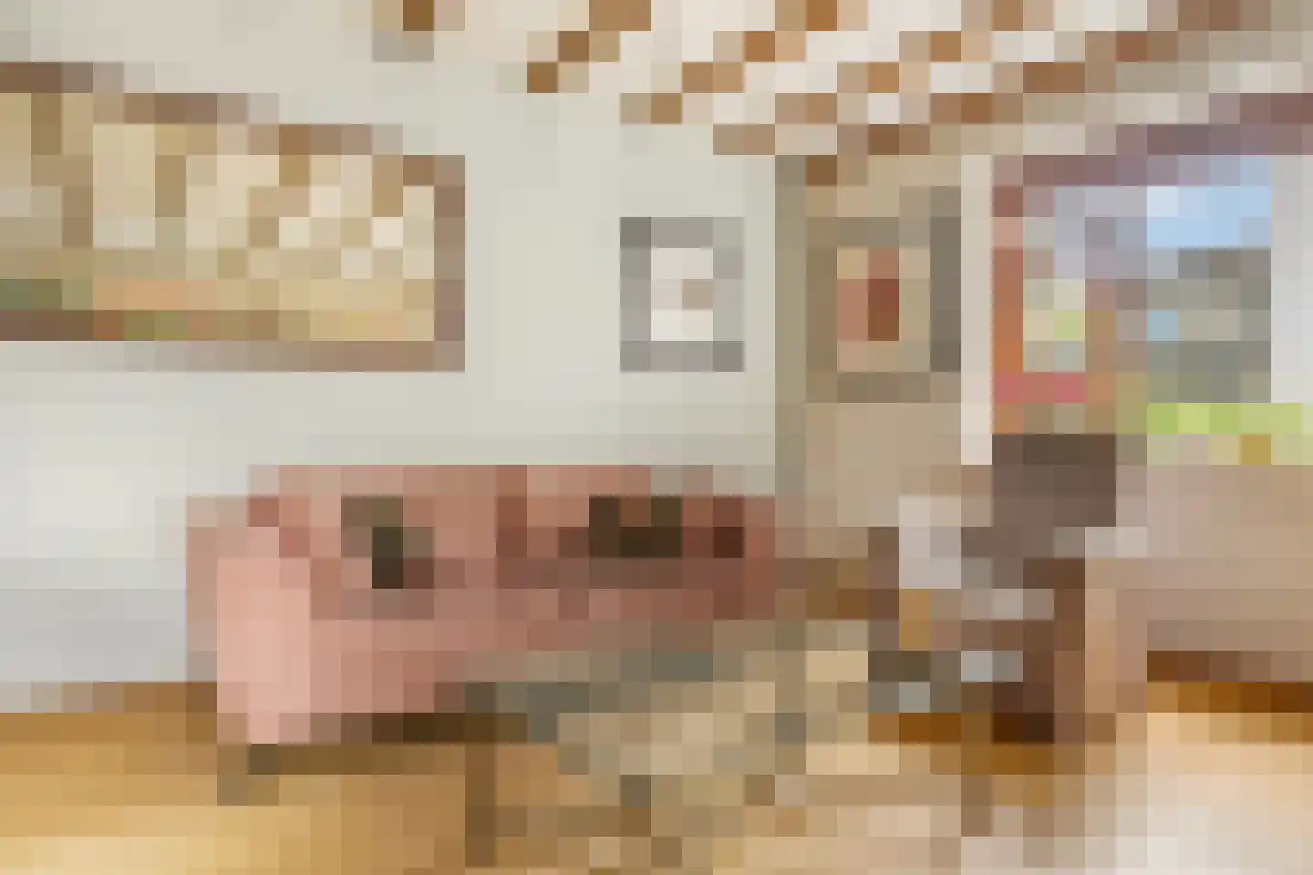 Donkerstraat 35 Heesselt thumbnail 13