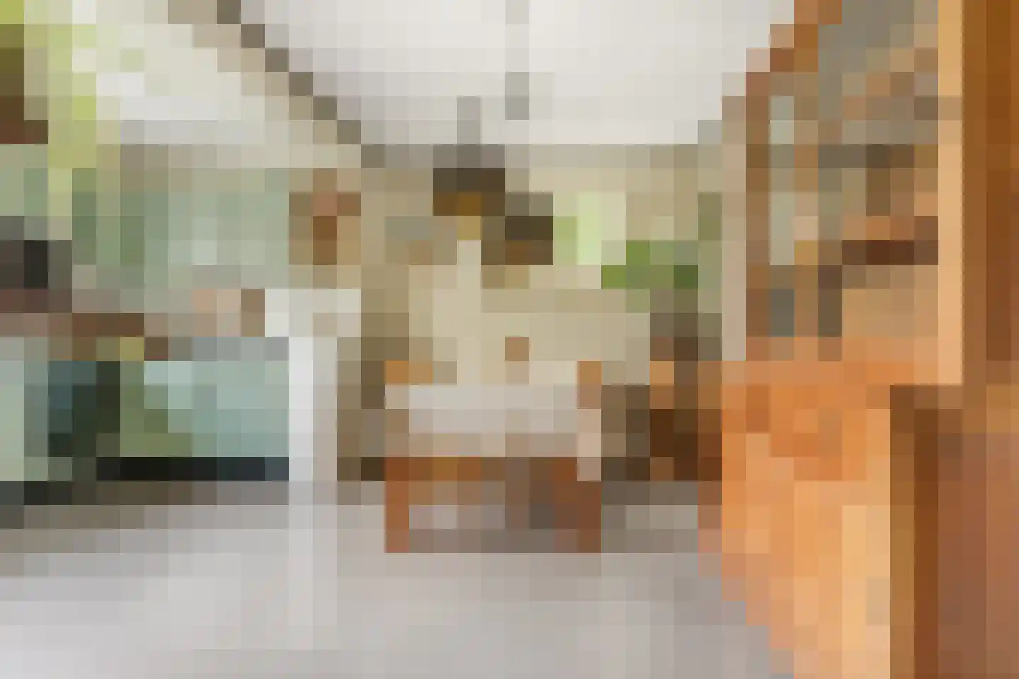 Donkerstraat 35 Heesselt thumbnail 17