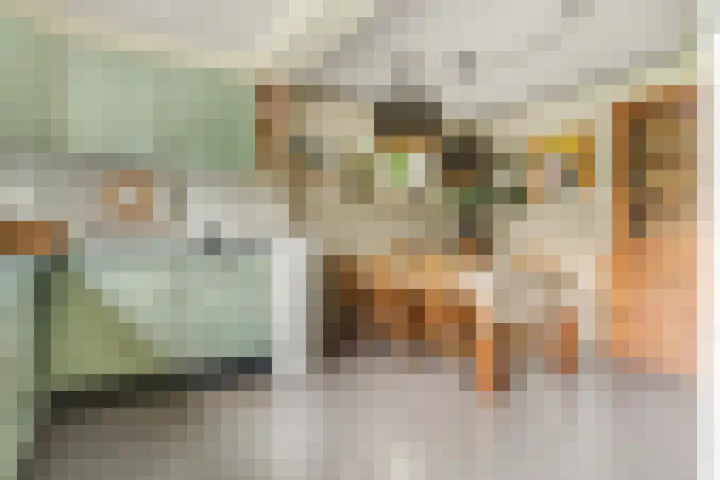 Donkerstraat 35 Heesselt thumbnail 19