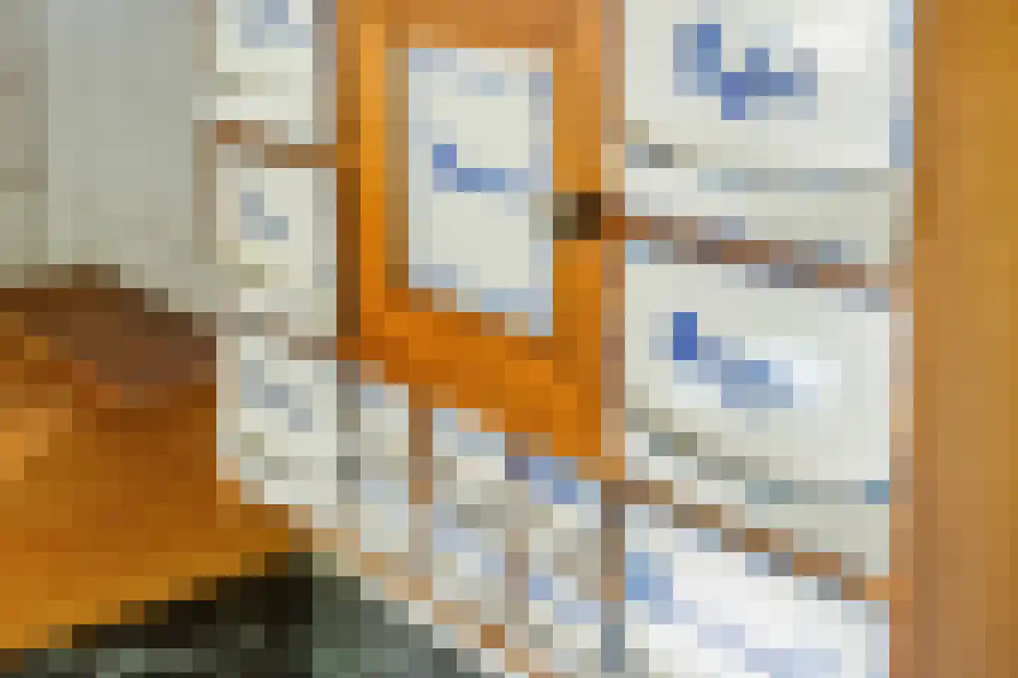 Donkerstraat 35 Heesselt thumbnail 20