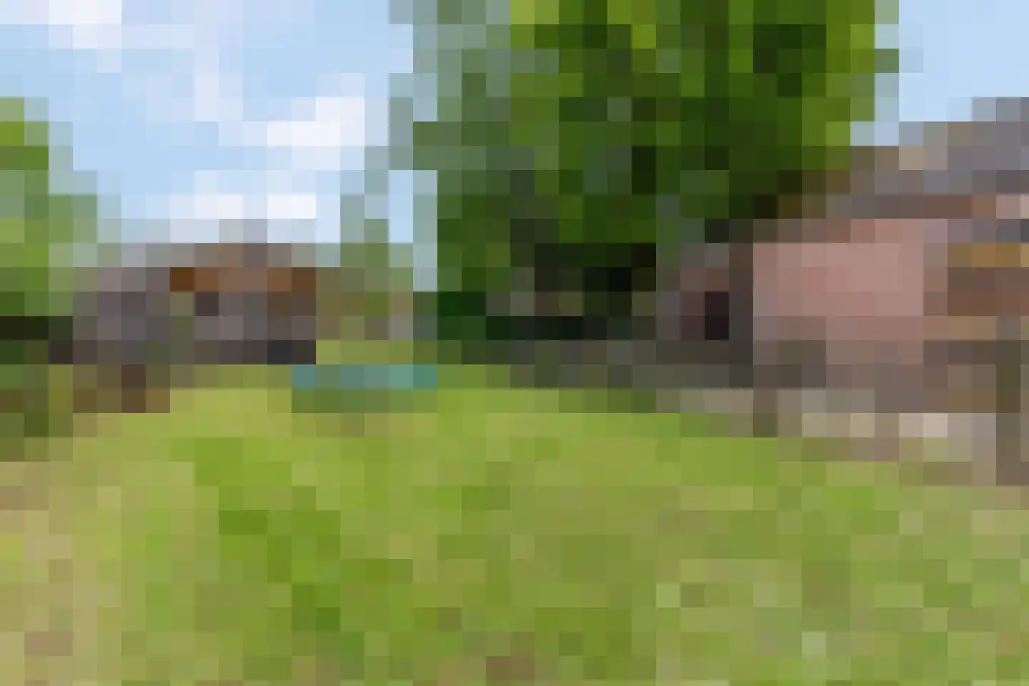Donkerstraat 35 Heesselt thumbnail 4