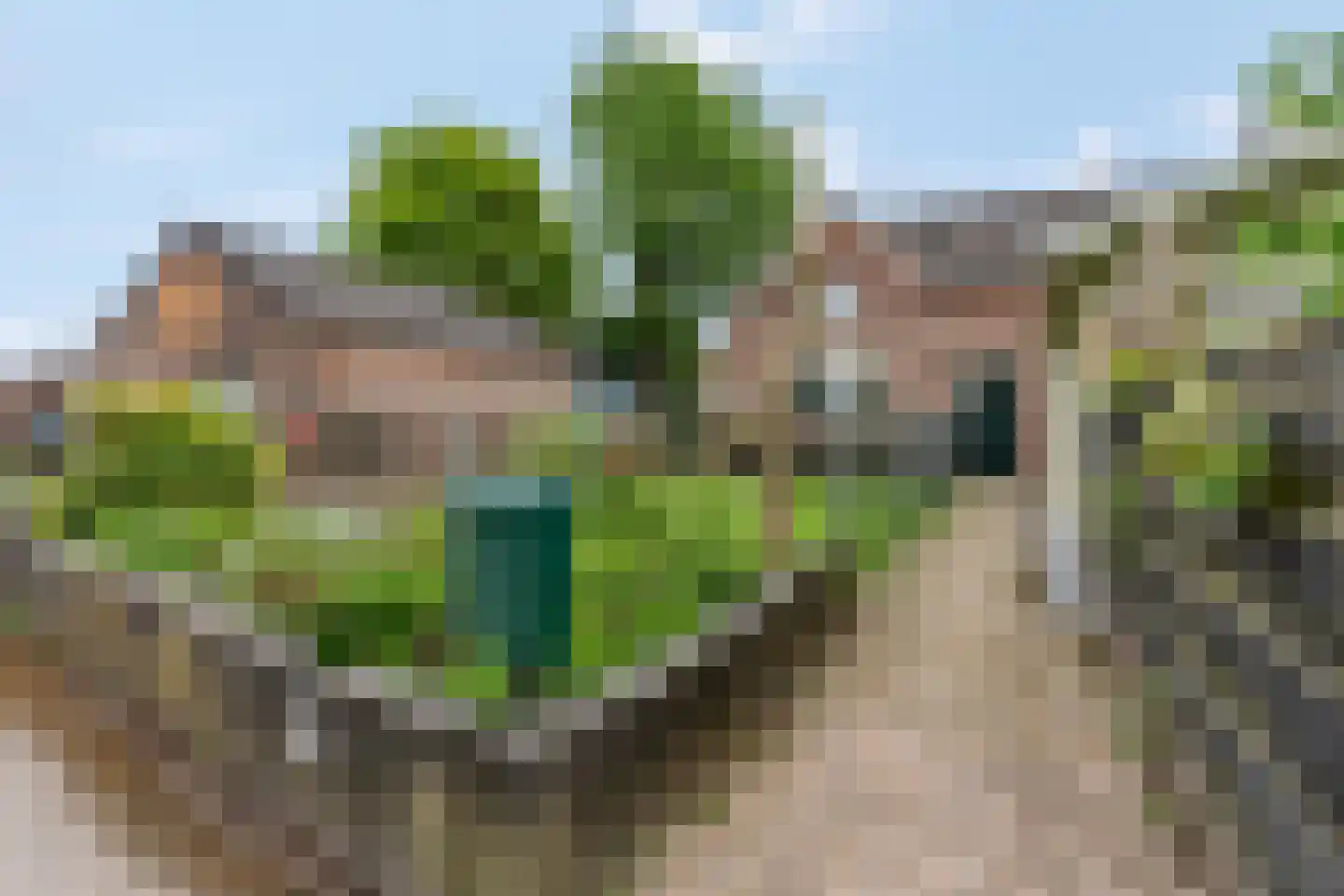 Donkerstraat 35 Heesselt thumbnail 7
