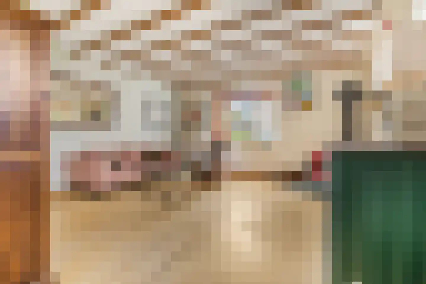 Donkerstraat 35 Heesselt thumbnail 8