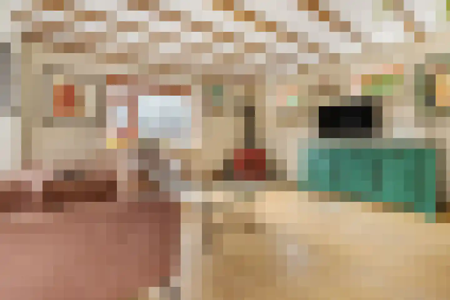Donkerstraat 35 Heesselt thumbnail 9