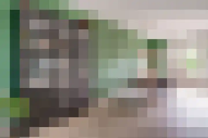Donkerstraat 36 Wijchen thumbnail 12