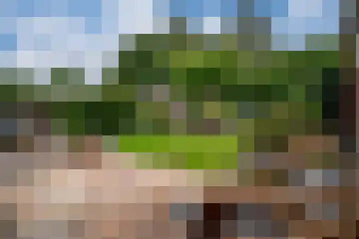 Donkerstraat 36 Wijchen thumbnail 17