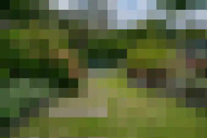 Donkerstraat 36 Wijchen thumbnail 18