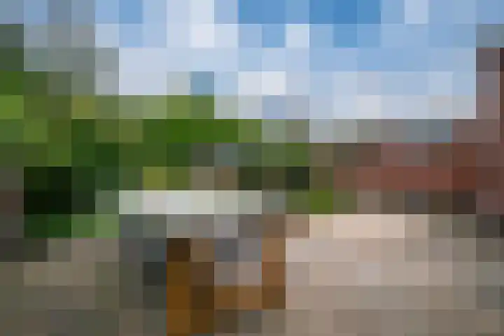 Donkerstraat 36 Wijchen thumbnail 20