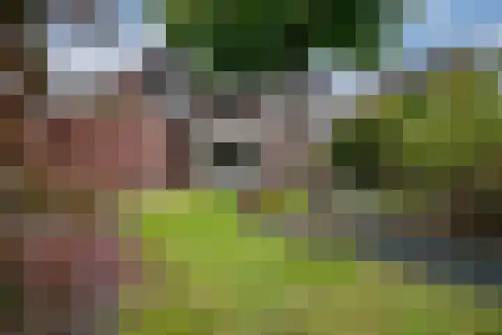 Donkerstraat 36 Wijchen thumbnail 25