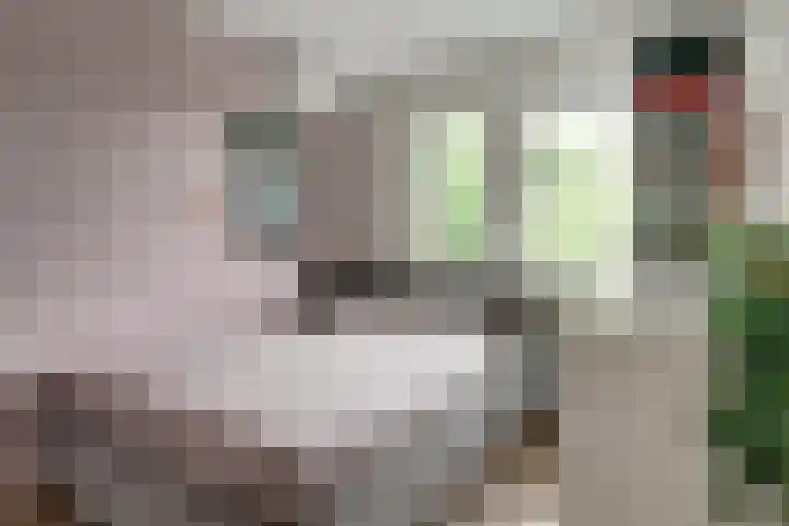 Donkerstraat 36 Wijchen thumbnail 36