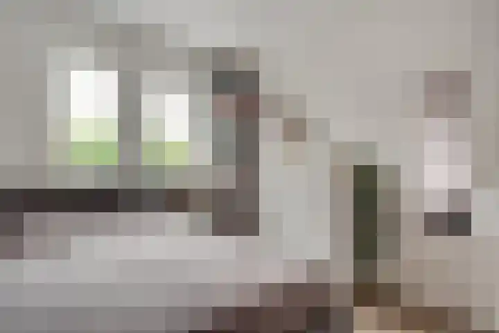 Donkerstraat 36 Wijchen thumbnail 37