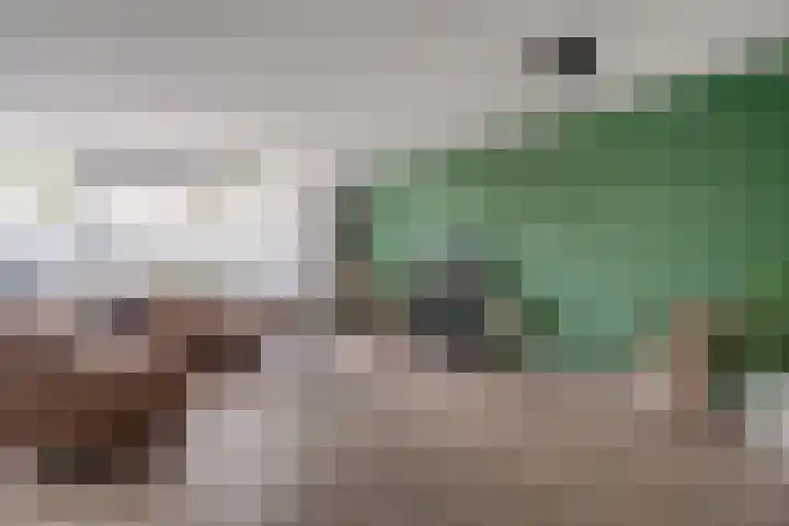 Donkerstraat 36 Wijchen thumbnail 4