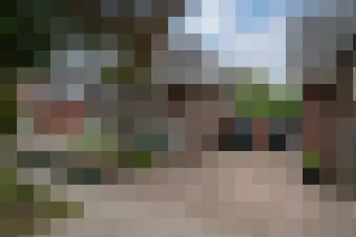 Donkerstraat 36 Wijchen thumbnail 53