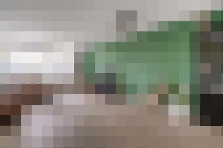 Donkerstraat 36 Wijchen thumbnail 7