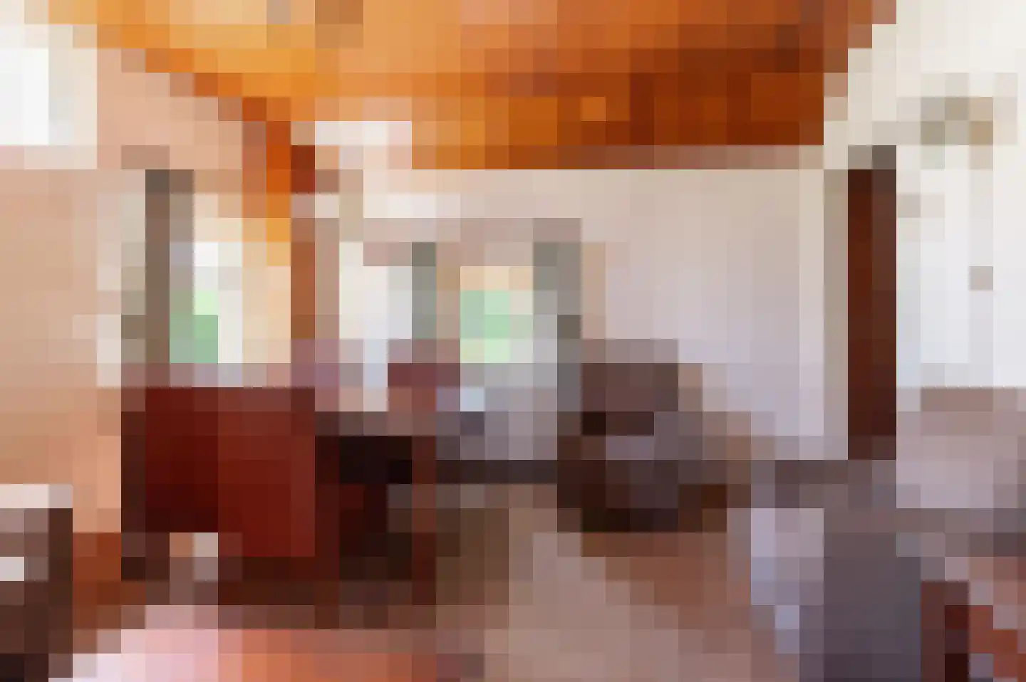 Donkerstraat 4 Heesselt thumbnail 10