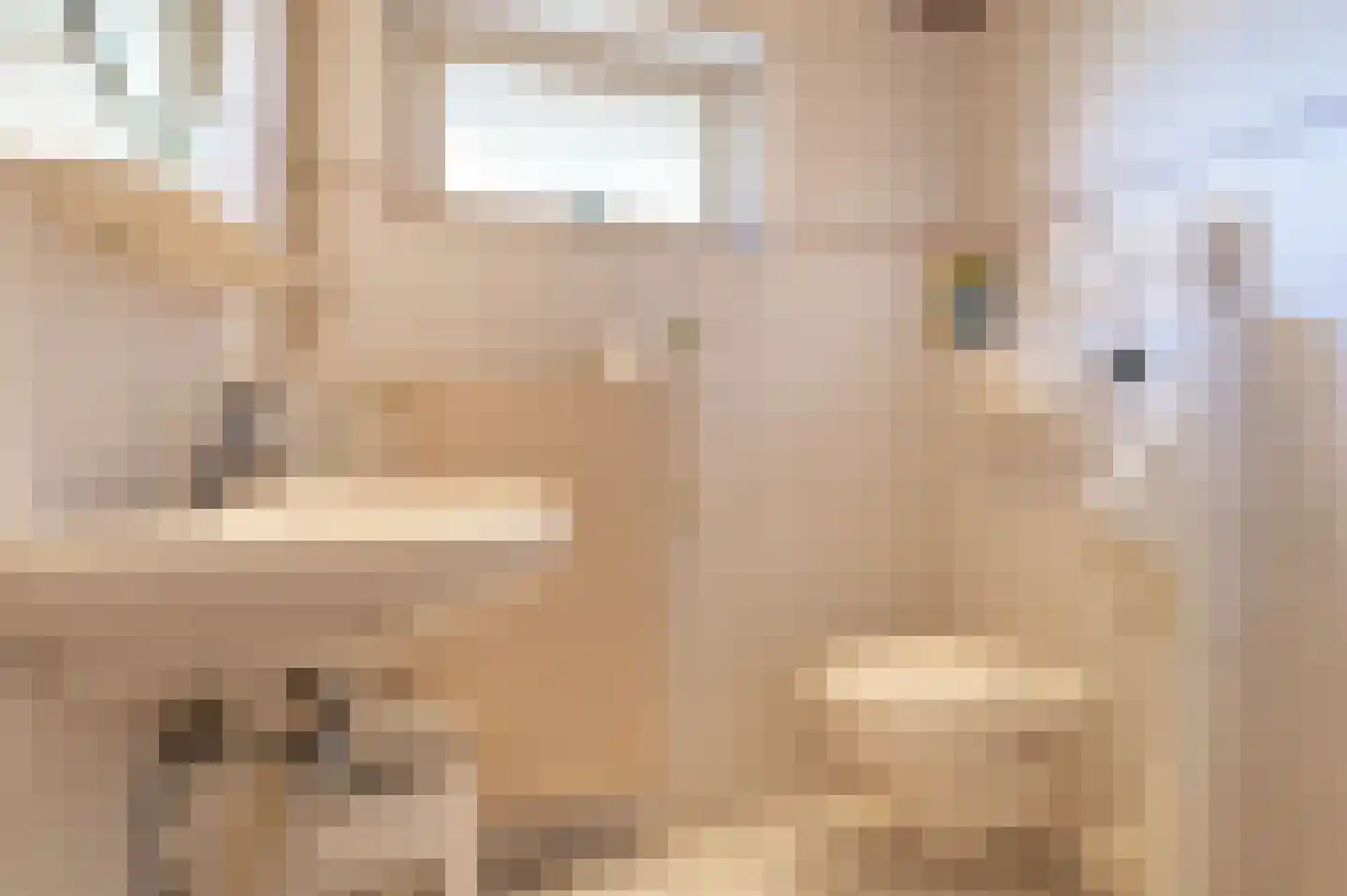 Donkerstraat 4 Heesselt thumbnail 13