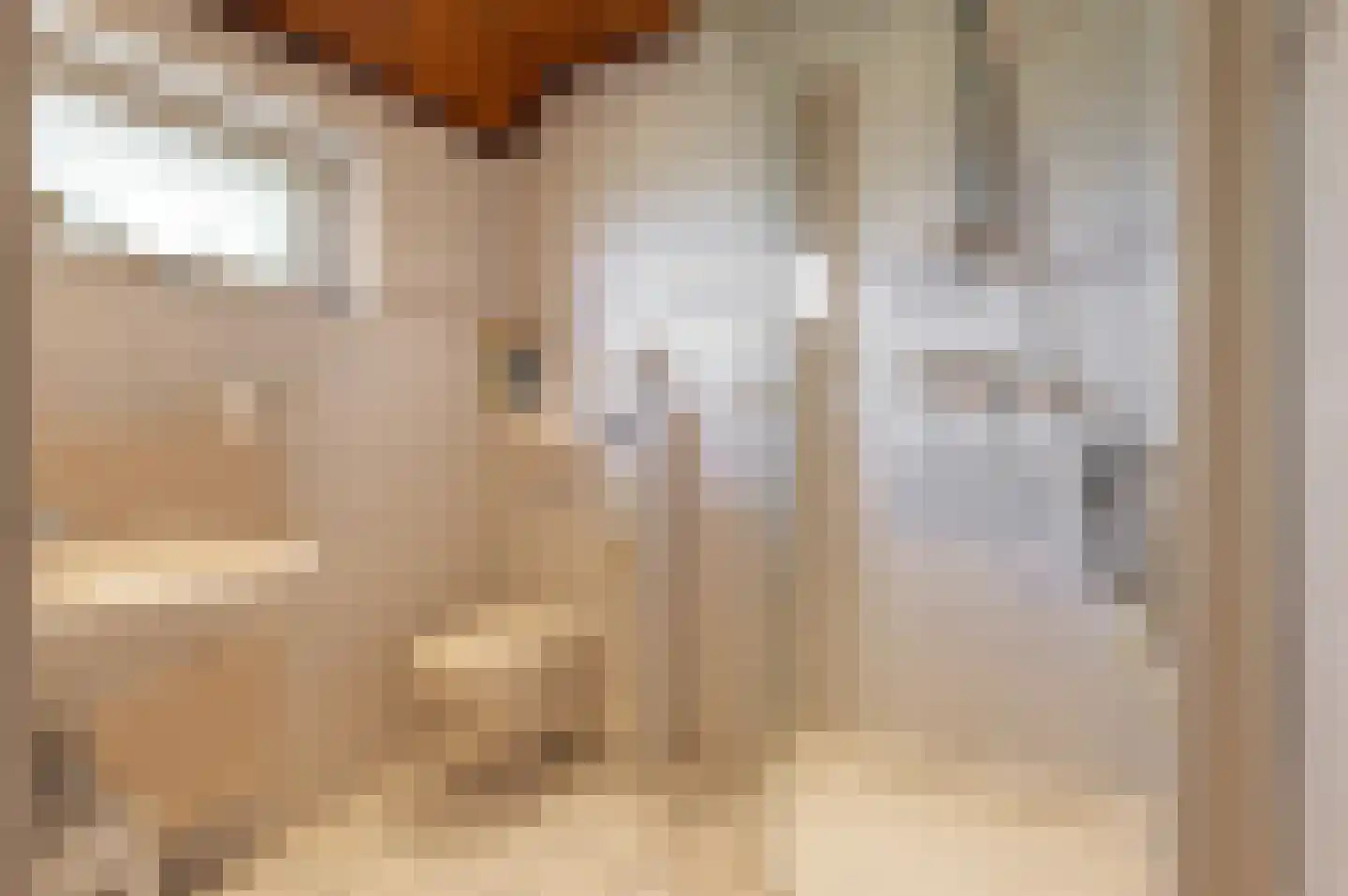 Donkerstraat 4 Heesselt thumbnail 14