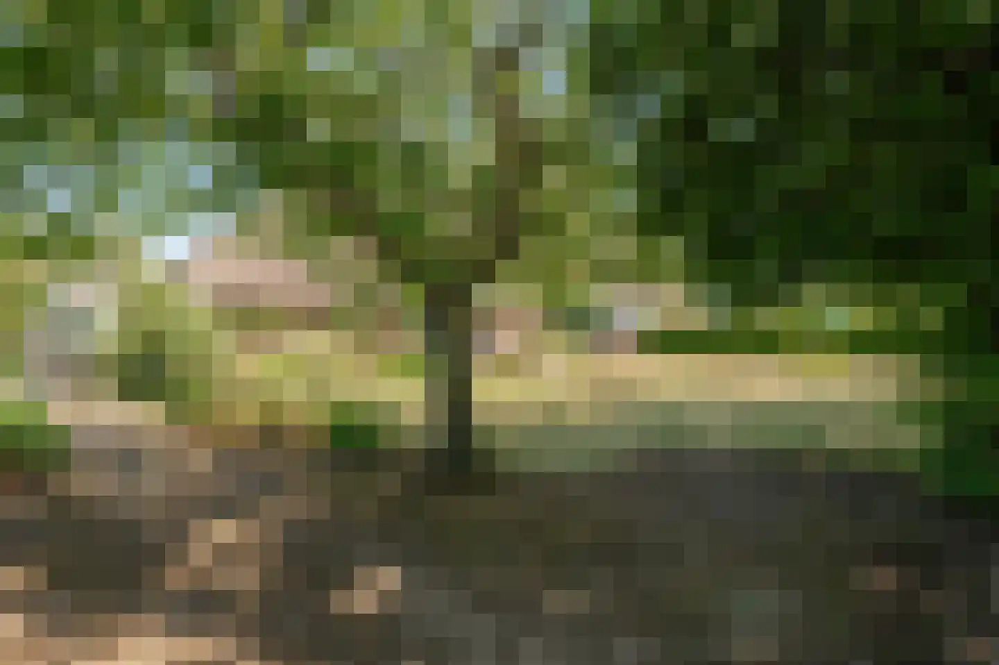 Donkerstraat 4 Heesselt thumbnail 20
